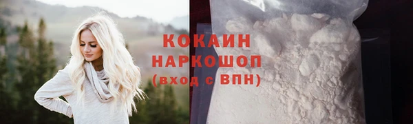 дживик Белокуриха
