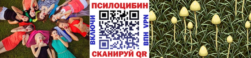 Купить где  Барабинск  Псилоцибиновые грибы Magic Shrooms 